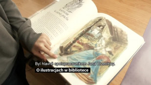 O ilustracjach w bibliotece - O ilustracích v knihovně