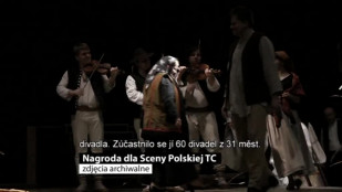 Nagroda dla Sceny Polskiej TC - Ocenění pro Polskou scénu TD