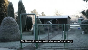 Ve Stonavě budou svítit dva vánoční stromy