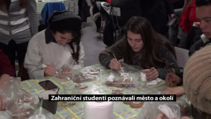 Zahraniční studenti poznávali Karvinou a okolí