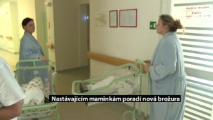 Nastávajícím maminkám poradí nová brožura