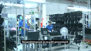 Nezaměstnanost je na pěti procentech