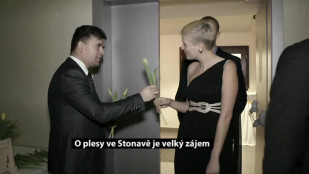 O plesy ve Stonavě je velký zájem