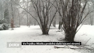 Ve Frýdku-Místku probíhá další kácení stromů