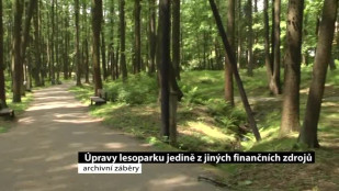 Úpravy lesoparku jedině z jiných finančních zdrojů