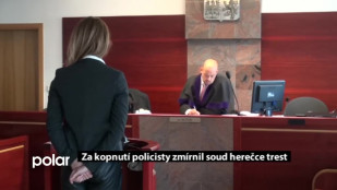 Za kopnutí policisty zmírnil soud herečce trest