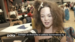 Zvířátka ze dvorečka si udělala karnevalový rej