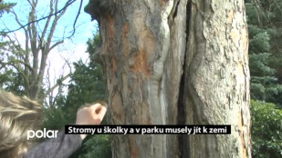 Stromy u školky a v parku musely jít k zemi 