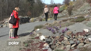 Návštěva jarního arboreta v Pasece je skvělým tipem na výlet