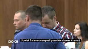 Spolek Šalamoun napadl posudek v kauze Kramný