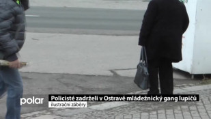 Policisté zadrželi v Ostravě mládežnický gang lupičů