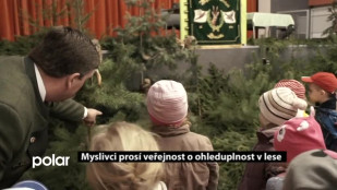 Myslivci prosí veřejnost o ohleduplnost v lese