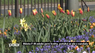 Město F-M zdobí jarní květy, potýká se ale s vandaly