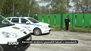 Karvinští strážníci pomohli labuti v nesnázích