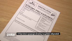 V Karviné vysazují stromy na přání obyvatel