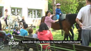 Speciální škola v NJ má na terapii vlastního koně