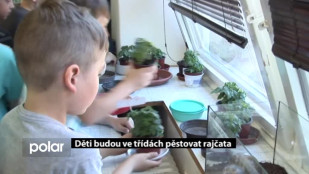 ​Děti budou ve třídách pěstovat rajčata