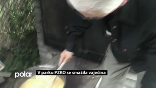 V parku PZKO se smažila vaječina