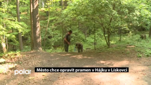 Město chce opravit pramen v Hájku v Lískovci