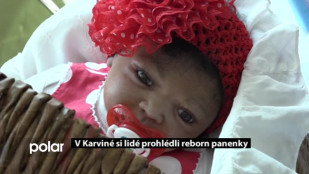 V Karviné si lidé prohlédli reborn panenky