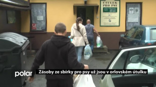 Zásoby ze sbírky pro psy už jsou v orlovském útulku