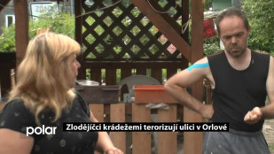 Zlodějíčci krádežemi terorizují ulici v Orlové