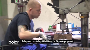 ​Trh pracovních příležitostí v Opavě poprvé