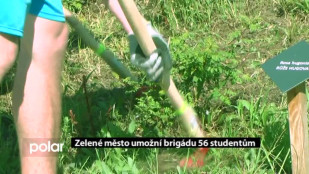 Zelené město umožní brigádu 56 studentům 