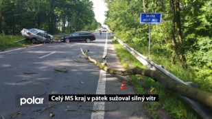 Celý Moravskoslezský kraj v pátek sužoval silný vítr