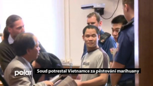 Soud potrestal Vietnamce za pěstírnu marihuany