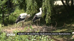 Vedení F-M navštívil Záchrannou stanici Bartošovice