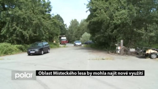 Oblast Místeckého lesa by mohla najít nové využití