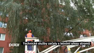 Technické služby začaly s letními ořezy stromů