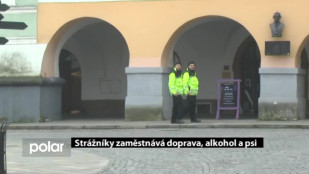 Strážníky zaměstnává doprava, alkohol a psi  