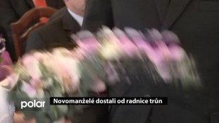 Novomanželé v Havířově dostali od radnice trůn