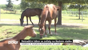 Netradiční tábor se zvířaty na školním statku