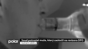 Soud potrestal muže, který zaútočil na revizora DPO