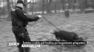 Želízka cvakla půl hodiny po loupežném přepadení