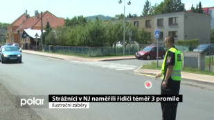 Strážníci v NJ naměřili řidiči téměř 3 promile