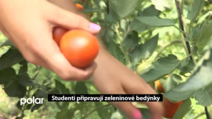 Studenti připravují zeleninové bedýnky