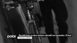 Recidivista za 2 měsíce ukradl na Opavsku 18 kol