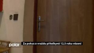 Za pokus o vraždu přítelkyně 12,5 roku vězení