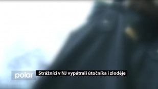 Strážníci v NJ vypátrali útočníka i zloděje