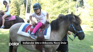 Indiánské léto v Arboretu Nový Dvůr