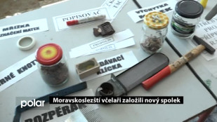 Moravskoslezští včelaři založili nový spolek