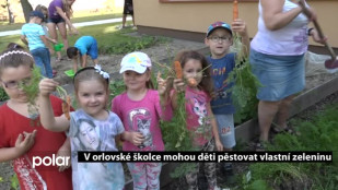 V orlovské školce mohou děti pěstovat vlastní zeleninu