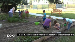 V orlovské školce mohou děti pěstovat vlastní zeleninu