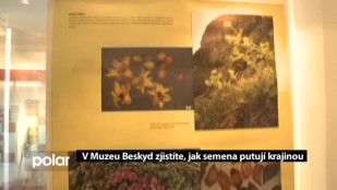 V Muzeu Beskyd zjistíte, jak semena putují krajinou
