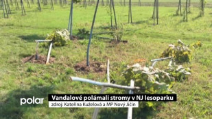 Vandalové polámali stromy v NJ lesoparku