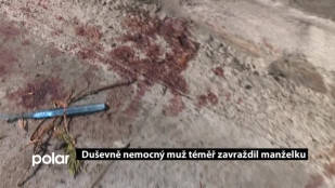 Duševně nemocný muž téměř zavraždil manželku